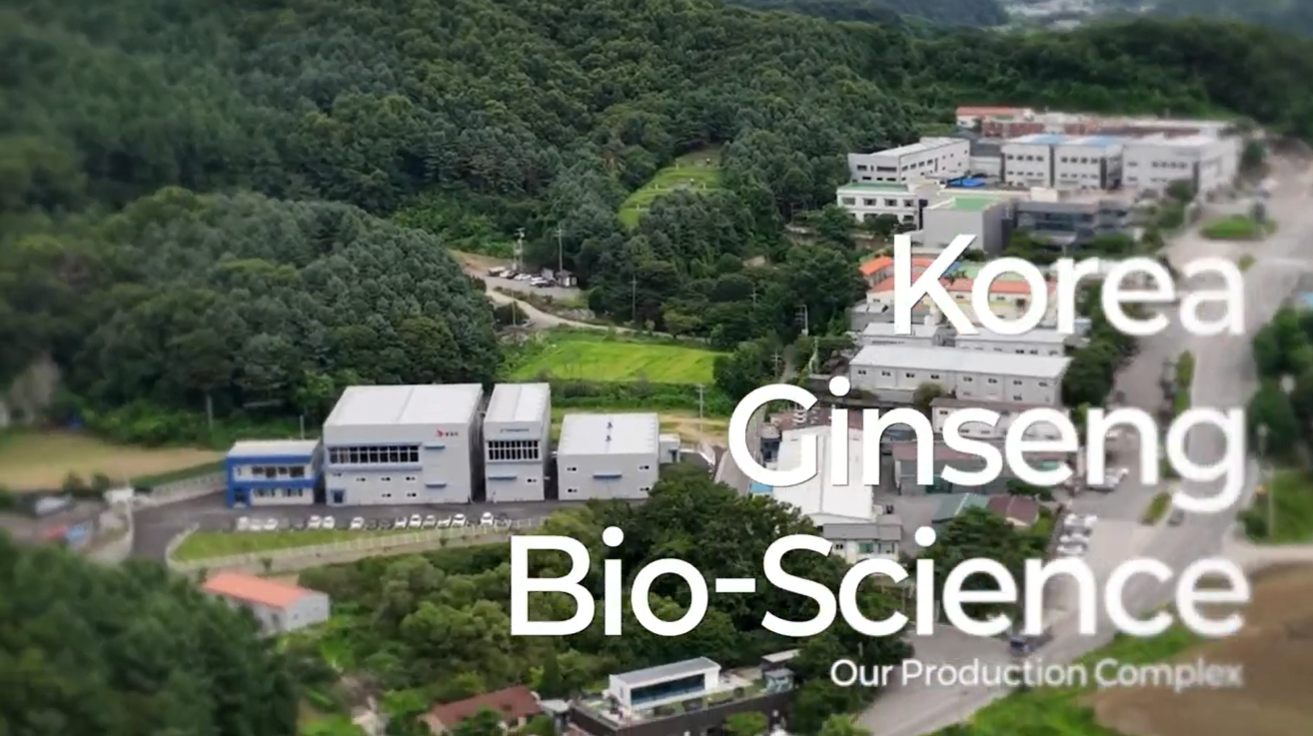 動画を読み込む: 